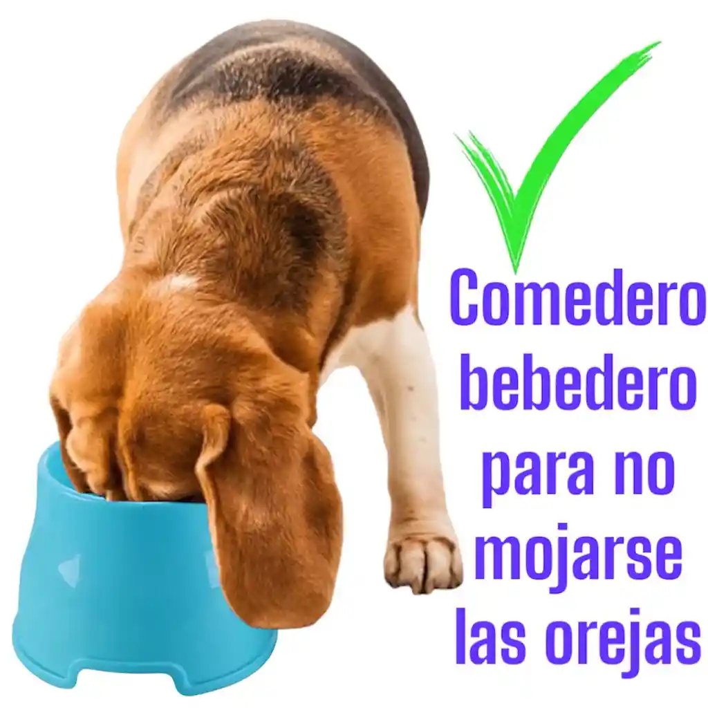 Comedero Plato Para Perros Orejas Largas
