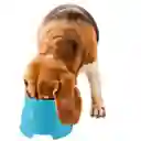 Comedero Plato Para Perros Orejas Largas