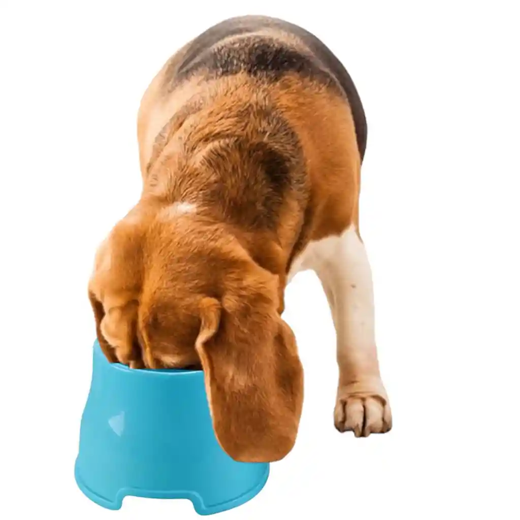 Comedero Plato Para Perros Orejas Largas