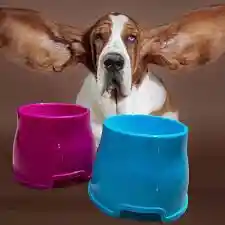 Comedero Plato Para Perros Orejas Largas