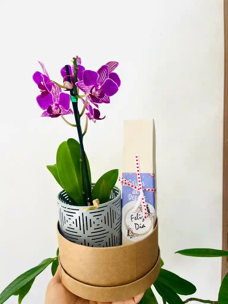 Orquidea Premium Y Velas