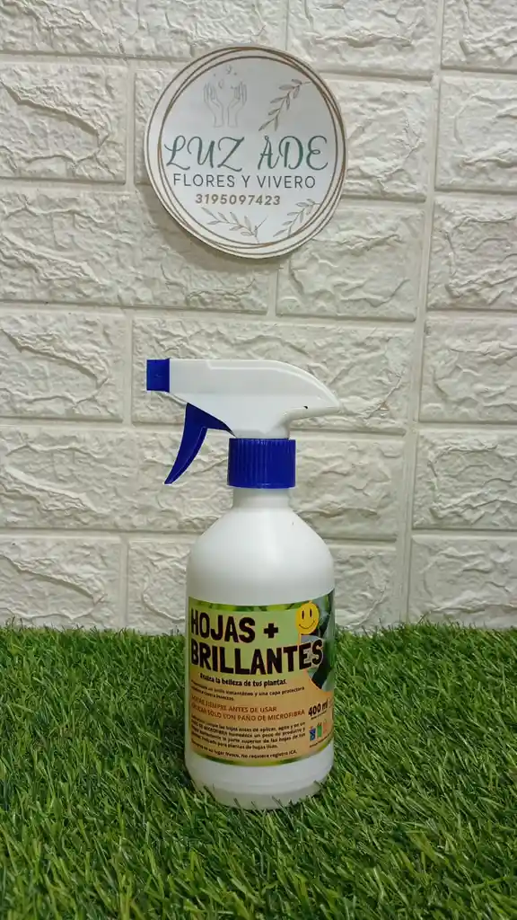 Hojas Super Brillantes