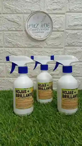 Hojas Super Brillantes