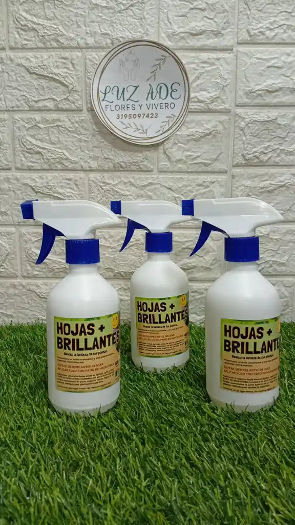 Hojas Super Brillantes