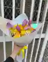 Tulipanes Y Rosas