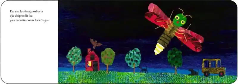 Libro Educativo La Luciérnaga Solitaria Con Colores Niños