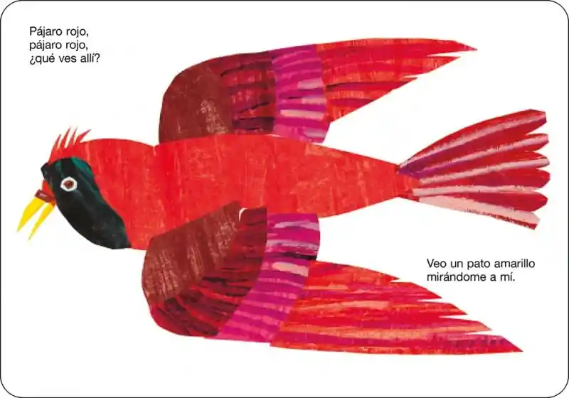 Libro Educativo Oso Pardo Con Ilustraciones Para Niños