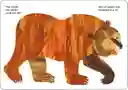 Libro Educativo Oso Pardo Con Ilustraciones Para Niños
