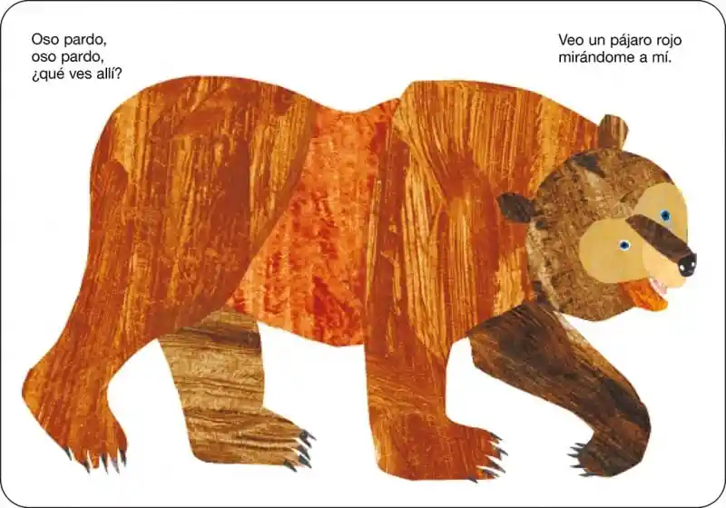 Libro Educativo Oso Pardo Con Ilustraciones Para Niños