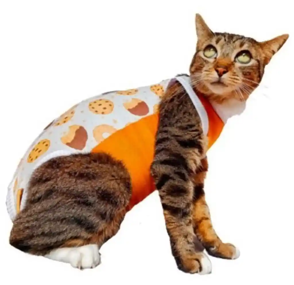 Faja Para Gatos Post Quirurgicas Talla S Peso 2 A 3 Kg