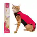 Faja Para Gatos Post Quirurgicas Talla S Peso 2 A 3 Kg