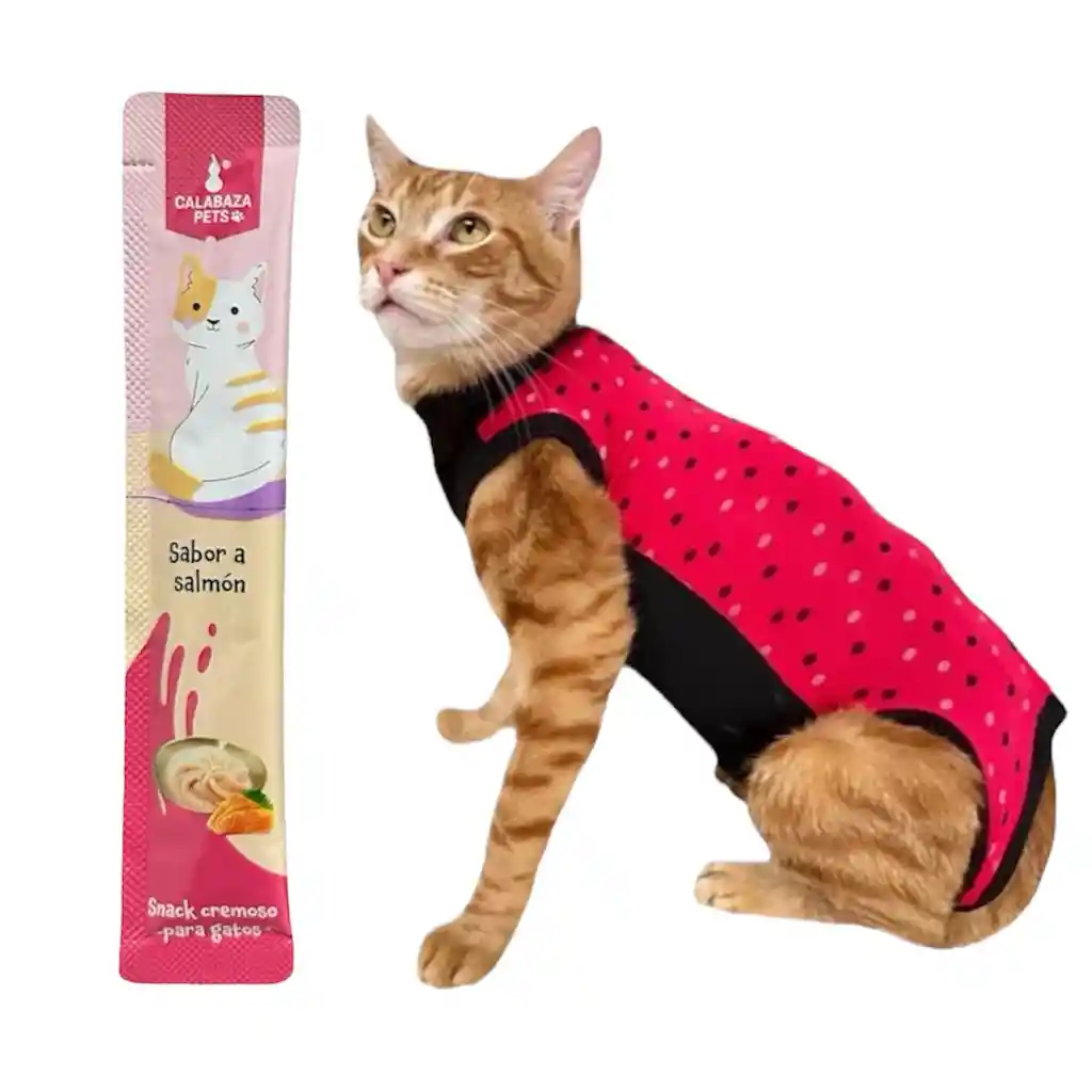 Faja Para Gatos Post Quirurgicas Talla S Peso 2 A 3 Kg