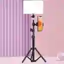 Luz De Panel Led Con Soporte O Tripode De Hierro Ajustable Hasta 1.1m Kit Creadores De Contenido