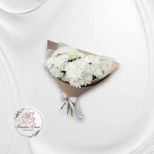 Crisantemos Blancos
