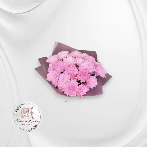 Crisantemos Rosados