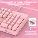 Teclado Gamer Onikuma G25 Membrana Rosado Con Luz Led