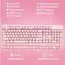 Teclado Gamer Onikuma G25 Membrana Rosado Con Luz Led