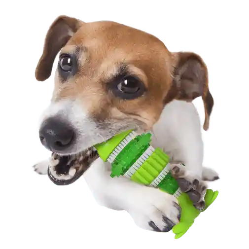 Afp Dental Rana Para Perro - Único