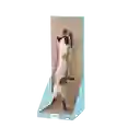 Afp Rascador De Pared Para Gato - Único