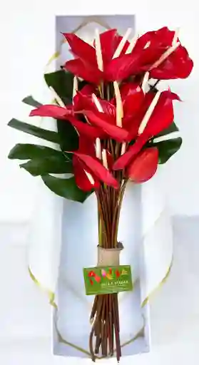 Ramo De Anturios Rojos Nativos