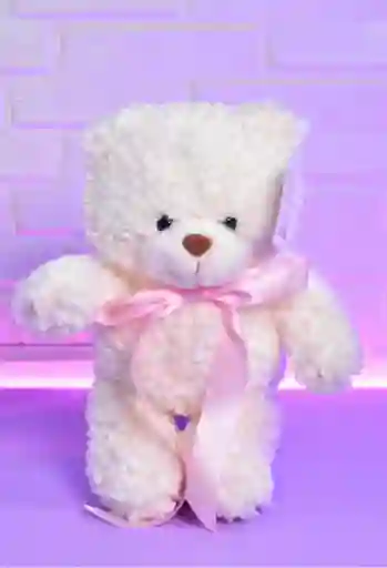 Oso De Peluche