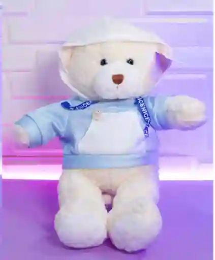 Oso De Peluche
