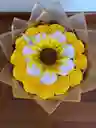 Luz Entre Rosas