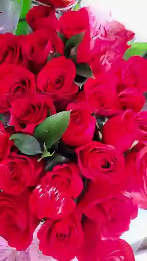 Ramo Con 12 Rosas Rojas