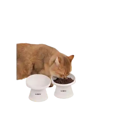 M-pets Tazón Elevado Cerámica Para Gato
