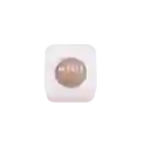 M-pets Bola Hiel Herball Beige Para Gato - Único