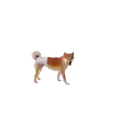 M-pets Pañal Lavable Para Perra Hembra - Xs