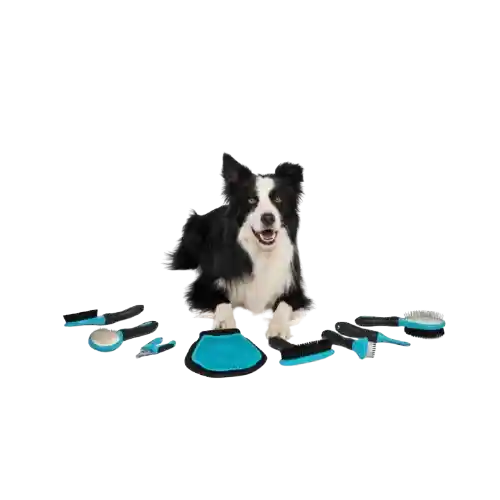 M-pets Cepillo Hairdo Oval Slicker Para Perro - L
