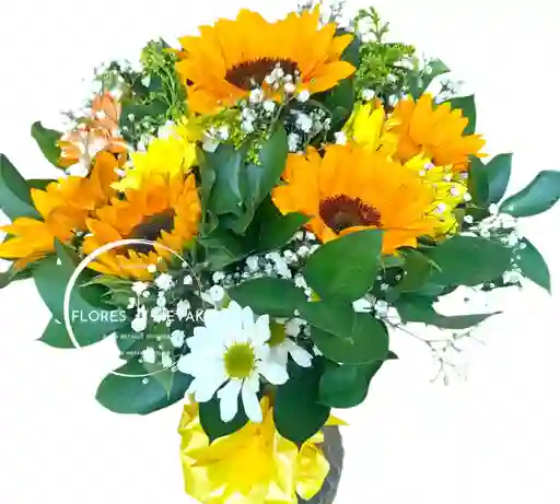 Girasoles Amor Para Mamá