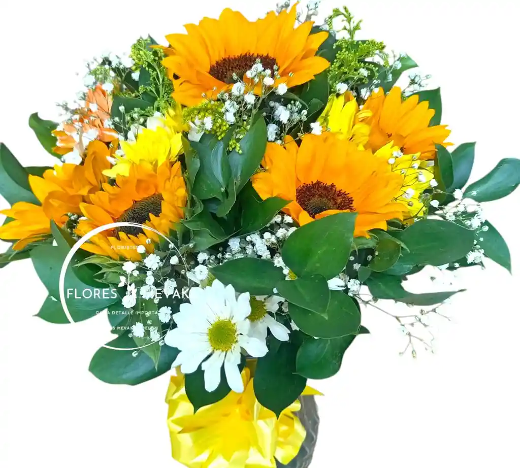 Girasoles Amor Para Mamá