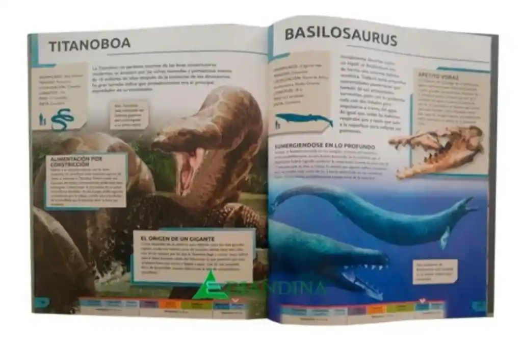 La Gran Enciclopedia De Dinosaurios