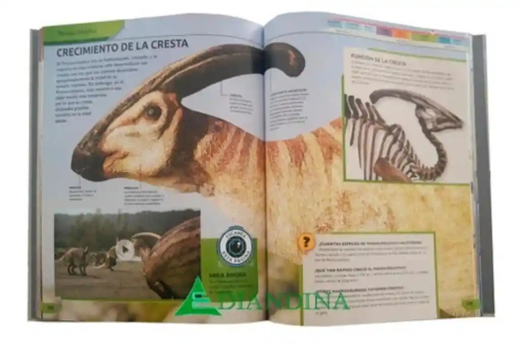 La Gran Enciclopedia De Dinosaurios