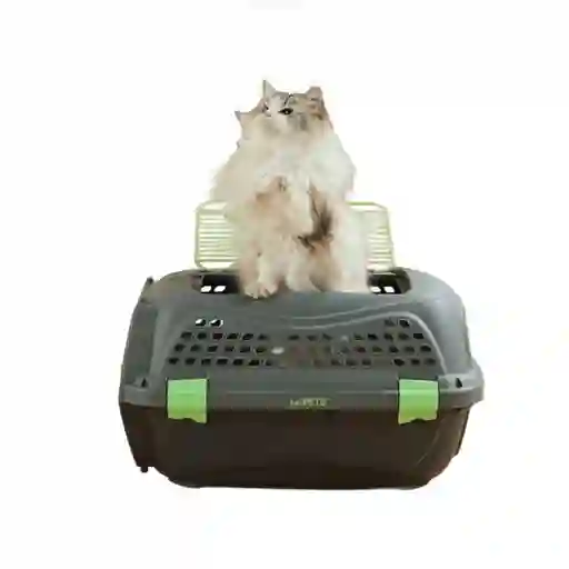 Guacal Para Mascotas Eco Giro M-pets Talla S