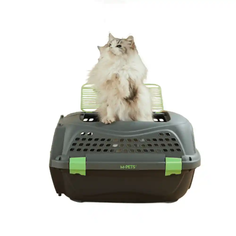 Guacal Para Mascotas Eco Giro M-pets Talla S