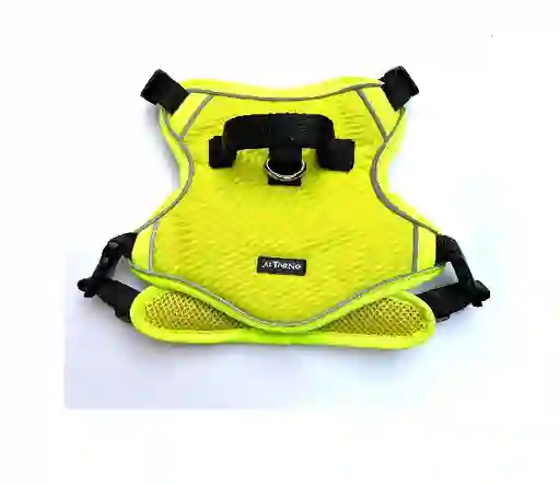Al Torno Arnes En Lona Premium Talla M