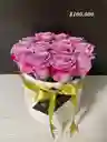 Box Circular
