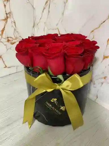 Box Circular