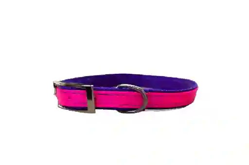 Al Torno Collar Ajuste Reata Surtido Mp Pets
