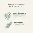 Té Orgánico Traditional Medicinals Stress Ease Con Ashwagandha Y Honeybush – Relajación Natural- 0.85 Oz 24g