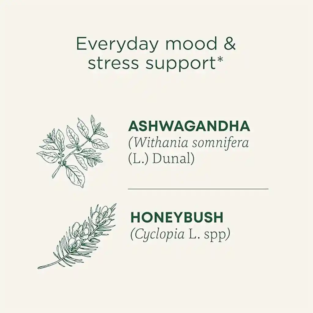 Té Orgánico Traditional Medicinals Stress Ease Con Ashwagandha Y Honeybush – Relajación Natural- 0.85 Oz 24g