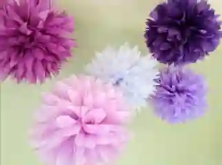 Pompones De Papel De Seda