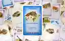 Juego De Mesa San Juan Cartas Estratégicas Devir Adultos