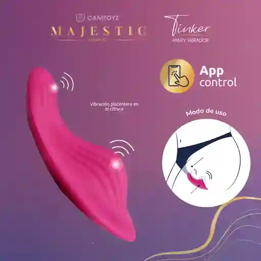 Vibrador Para Panty Con App Tinker