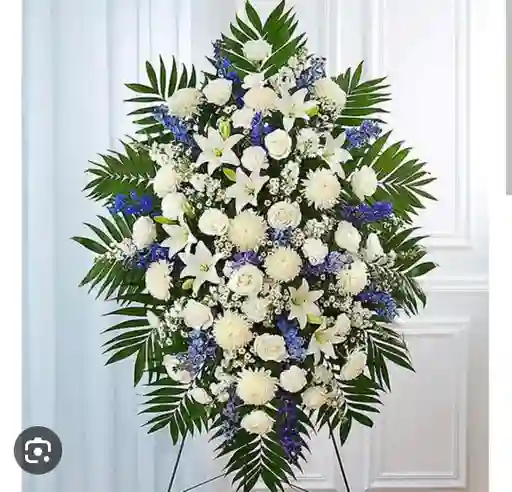 Ramo Funebre