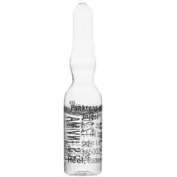 Pankreas X 1.1 Ml