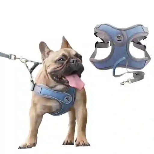 Pechera Arnes + Trailla Para Perro Talla L